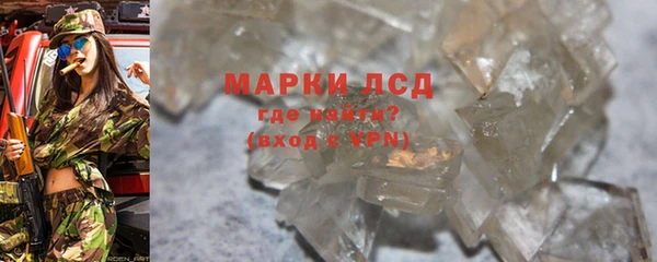 прущие грибы Абинск