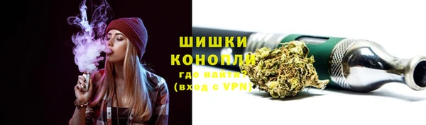 прущие грибы Абинск