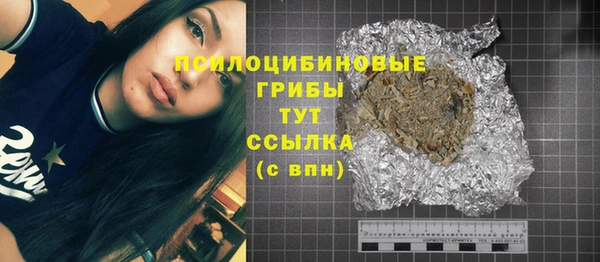 прущие грибы Абинск