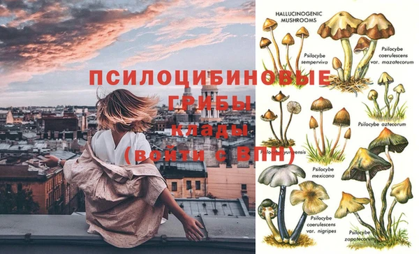 прущая мука Алзамай