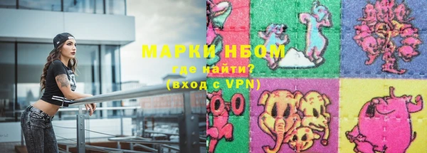 прущие грибы Абинск