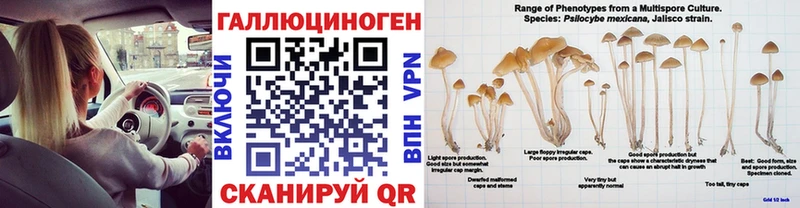 наркота  Инсар  Галлюциногенные грибы прущие грибы 